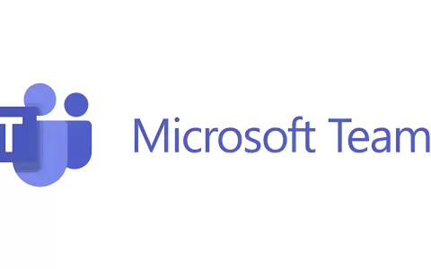 [货号0913]Microsoft Teams账号(skype账号) | 全新账号 | 白号 | 100%确保登录 轻松工作