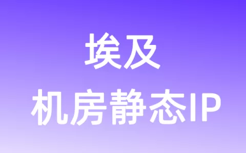 中东埃及机房静态IP