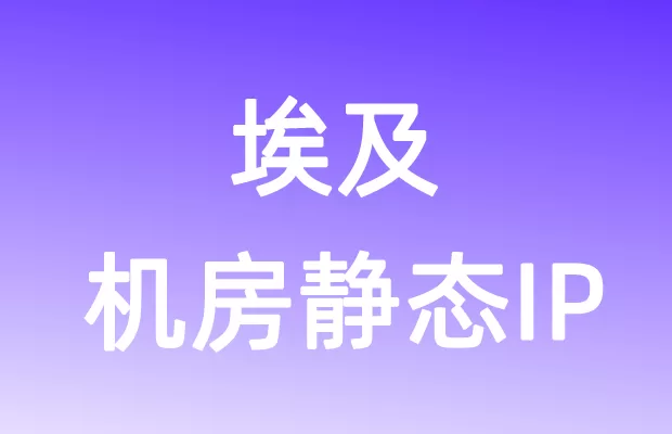 中东埃及机房静态IP