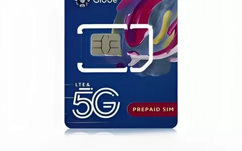 东南亚菲律宾Globe手机电话卡