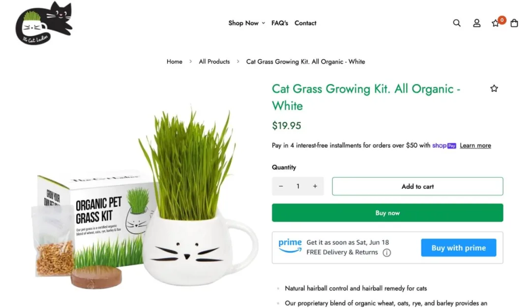 Buy with Prime上线1年，亚马逊对Shopify的“企图”还未达成