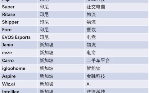 基金规模超3亿美元的Insignia是一家什么样的风投公司？