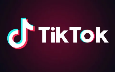 印度山寨版“TikTok”们下载量暴增，用户量两天增长2200万