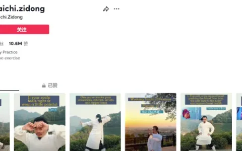 吸粉190万的轻功独立站，中国人也能将虚拟商品卖给老外！