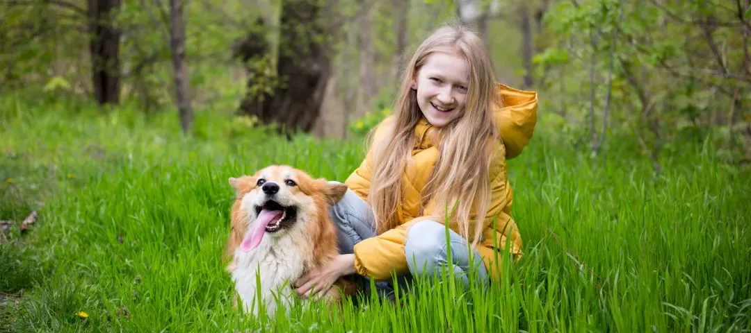 搜索量猛增7400%，150+店铺被起诉，美国这一类目“危”“机”四伏