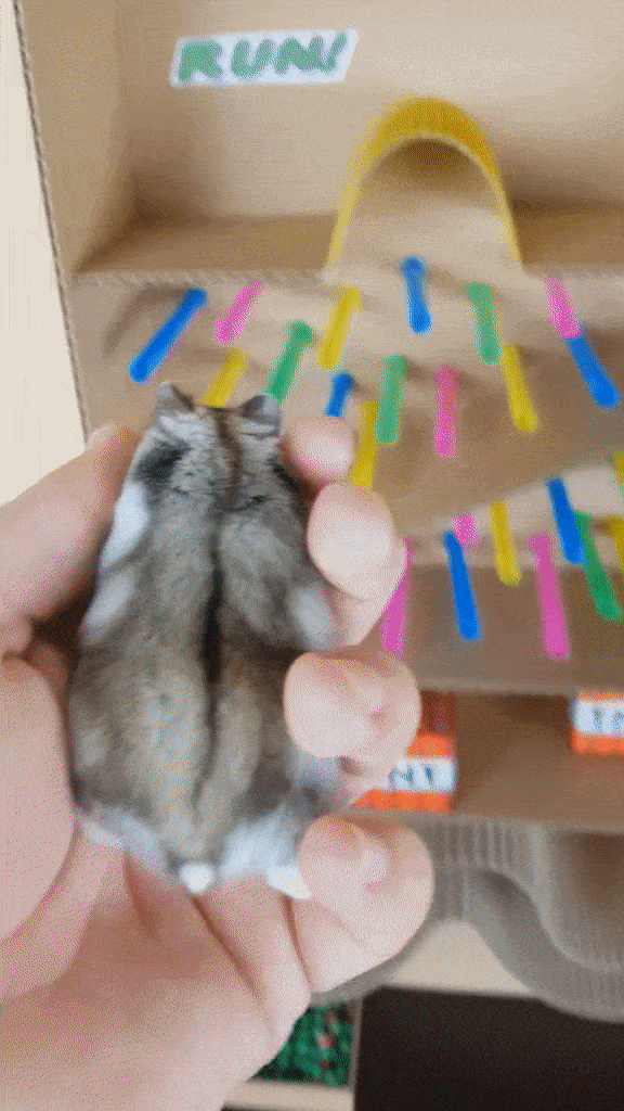 别总盯着猫猫狗狗，小宠物用品出海也是门大生意