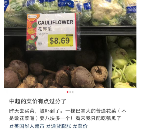 海外华人电商贩卖“乡愁”，李子柒螺蛳粉、汤达人、九阳小家电等国货成爆品