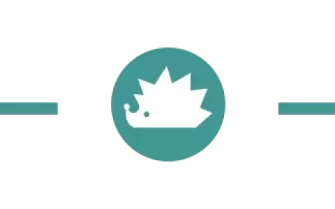 从白牌到品牌：国产小家电的重塑之路