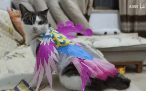 《数码宝贝：新世纪》推出首个中国风元素原创数码宝贝，探索“另类”漫改新路