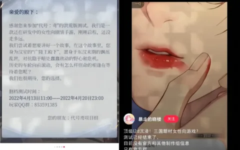 刷屏大半个月的《代号鸢》，将女性向玩家带进了「数值深坑」