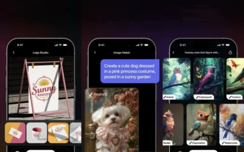 从Logo设计到梦境解析，一年吸金200万美元，“AI工具箱”的背后逻辑是什么？