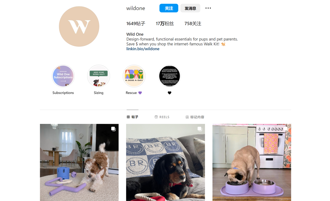 牵狗绳创收千万美金！WILD ONE如何打造网红宠物品牌？