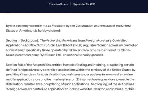 TikTok美国运营方案将包含两个主体