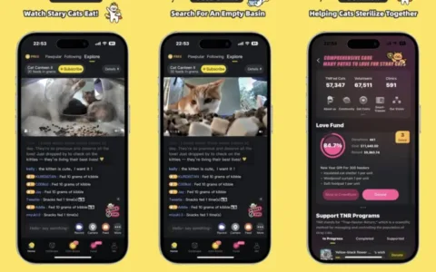 登上泰国社交榜Top1，中国团队专为流浪猫设计的App，何以打动海外爱猫人士？