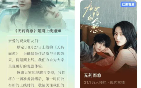 国内未播，海外先盗：盗版者正在用你的短剧年赚千万