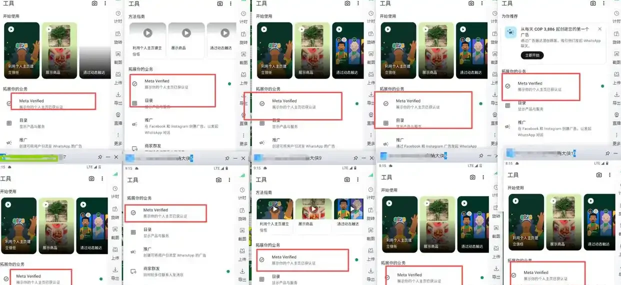 外贸人必备技能!全面测评WhatsApp磐石系统核心功能与应用场景,这些实用技巧让你事半功倍