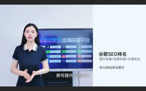 谷歌SEO优化:谷歌优化谷歌搜索引擎排名，获取精准海外自然流量