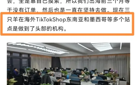 三只羊在海外风生水起