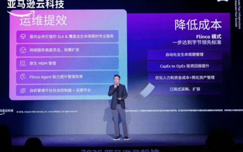 从10数家出海冠军看2026年生存法则