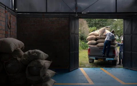 我帮外贸朋友搞社媒获客，发现他们总在同一个地方卡住