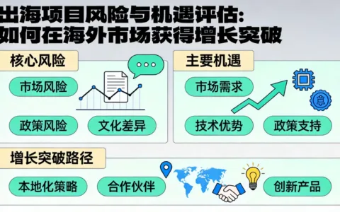 出海项目风险与机遇评估：如何在海外市场获得增长突破